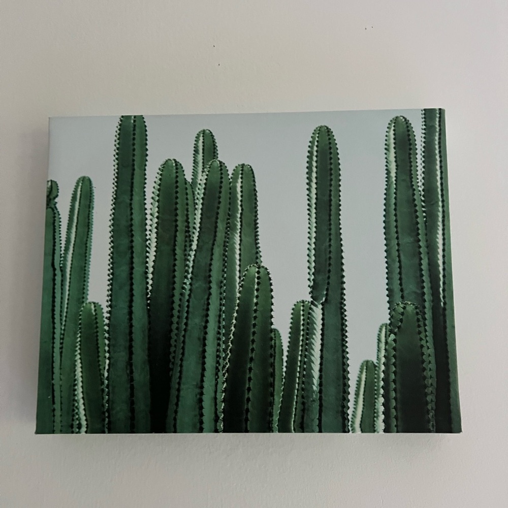 Green Cactus Canvas Wall Art